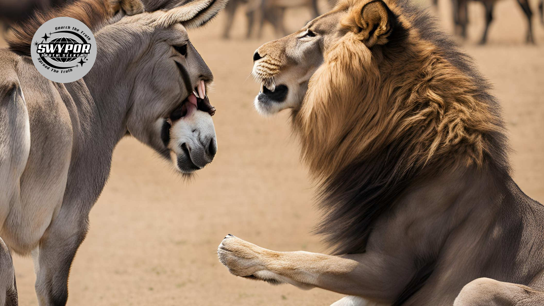 don't argue with donkeys